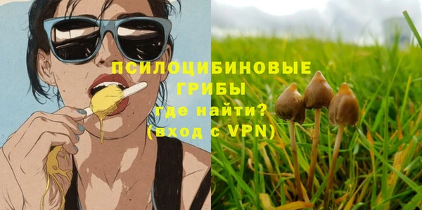 мяу мяу мука Ладушкин