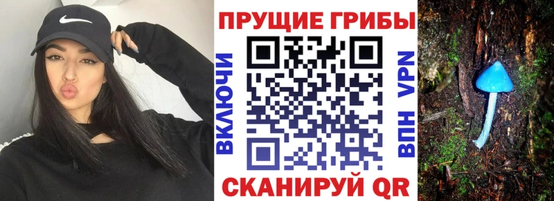 Псилоцибиновые грибы мицелий  кракен tor  Череповец  закладка 