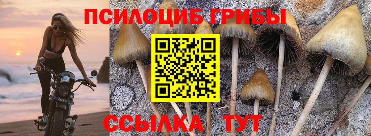 Галлюциногенные грибы прущие грибы  Вход с VPN  Галлюциногенные грибы мицелий  Череповец 
